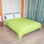 Плик за олекотена завивка, Ранфорс 100% памук, Зелена ябълка, 150/210 см